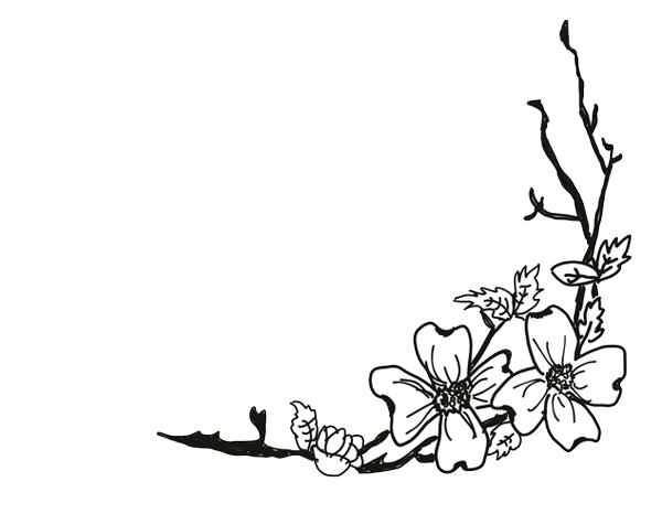 transition-image-drawing
